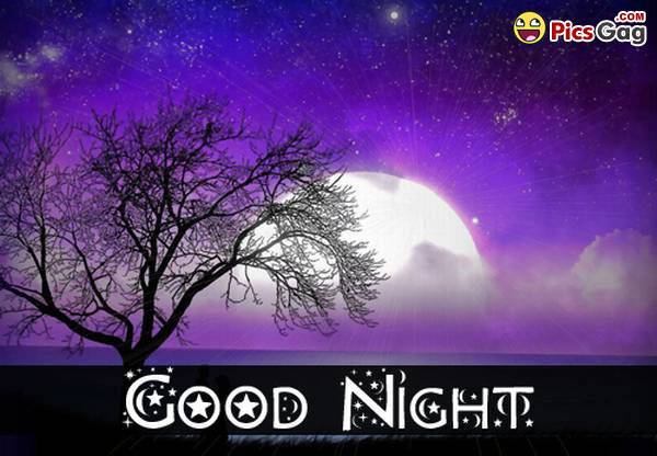 Good Night Quotes Messages And Sms With Pictures