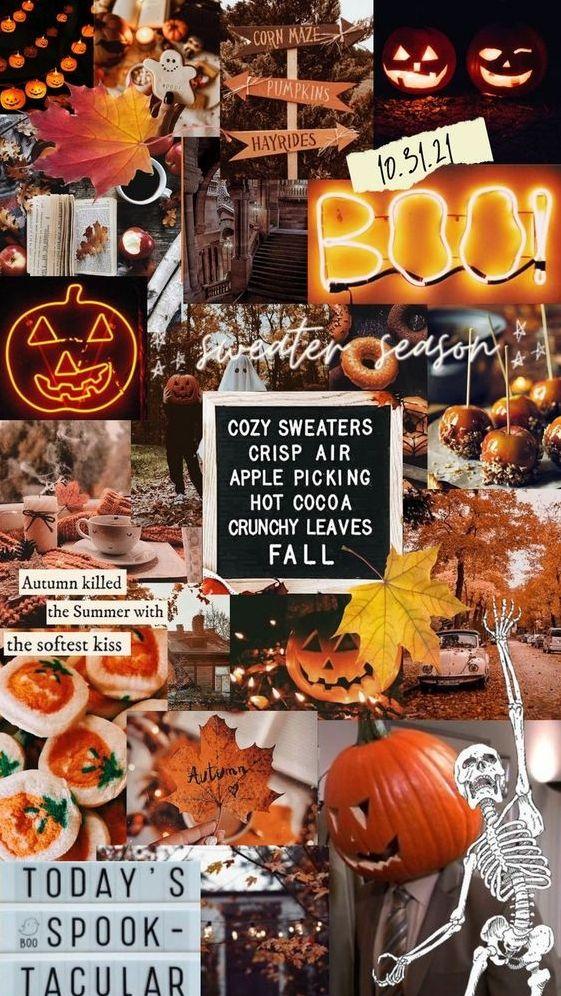 🔥 [20+] Autumn Holiday Wallpapers | WallpaperSafari