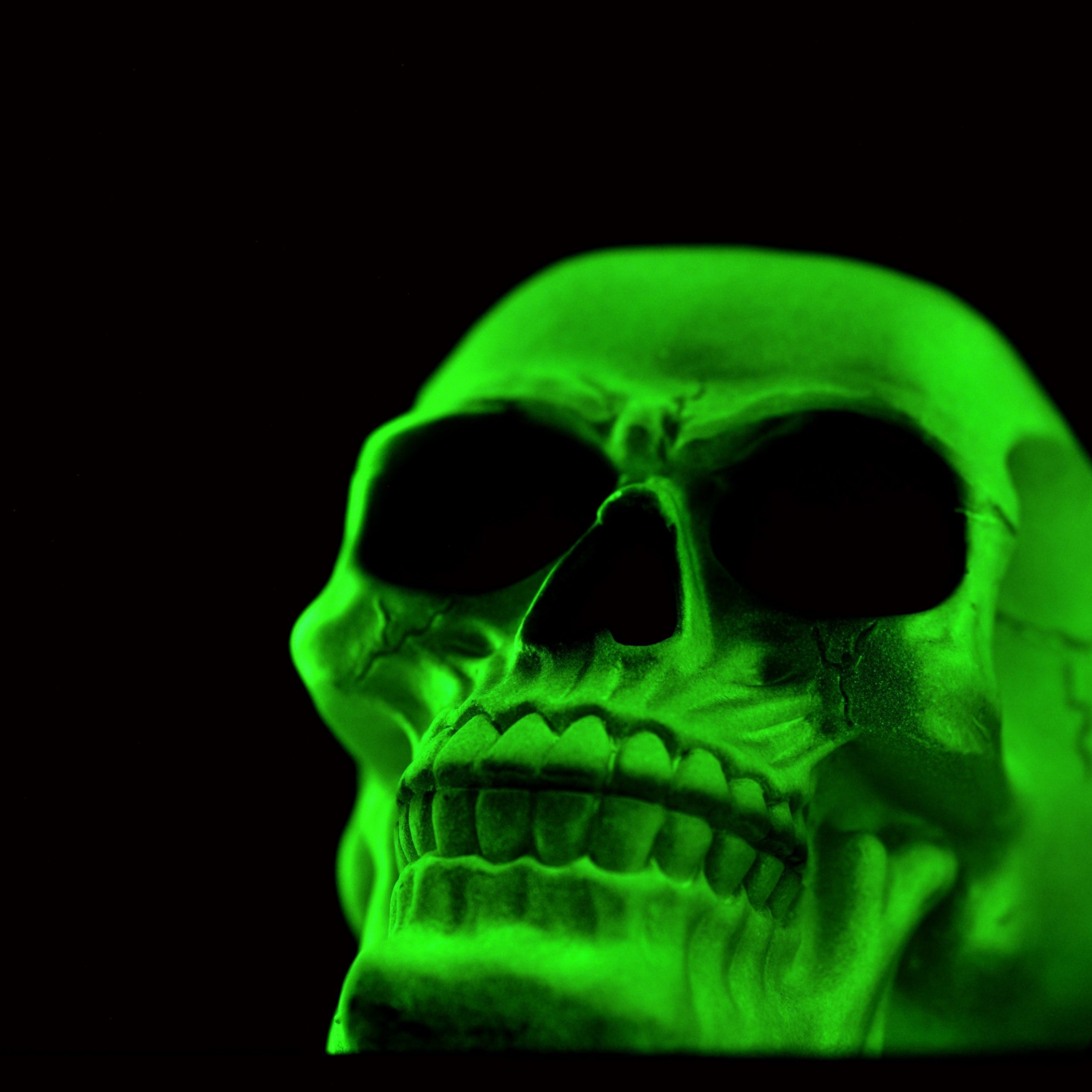 Phosphorescent Skull 17k Wallpaper And Background