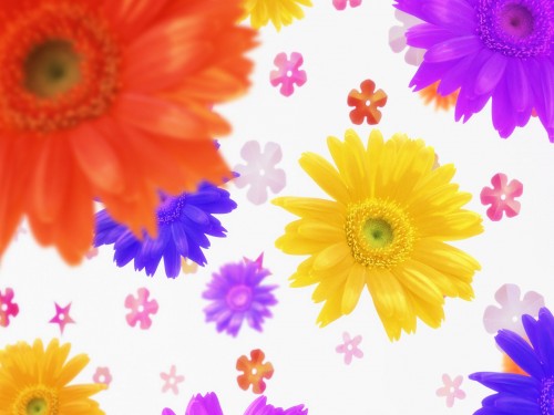 Flower Art Daisy Background Large Screensaver Screensavers