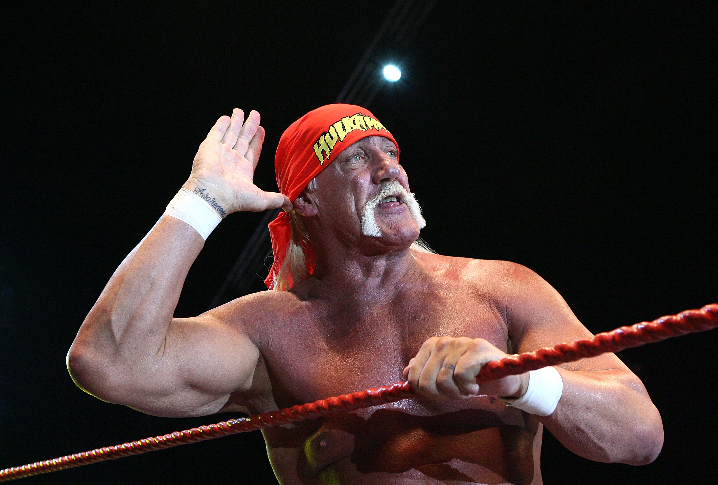 Hulk Hogan Fired By Wwe Due To Racist Remarks Says Fortune