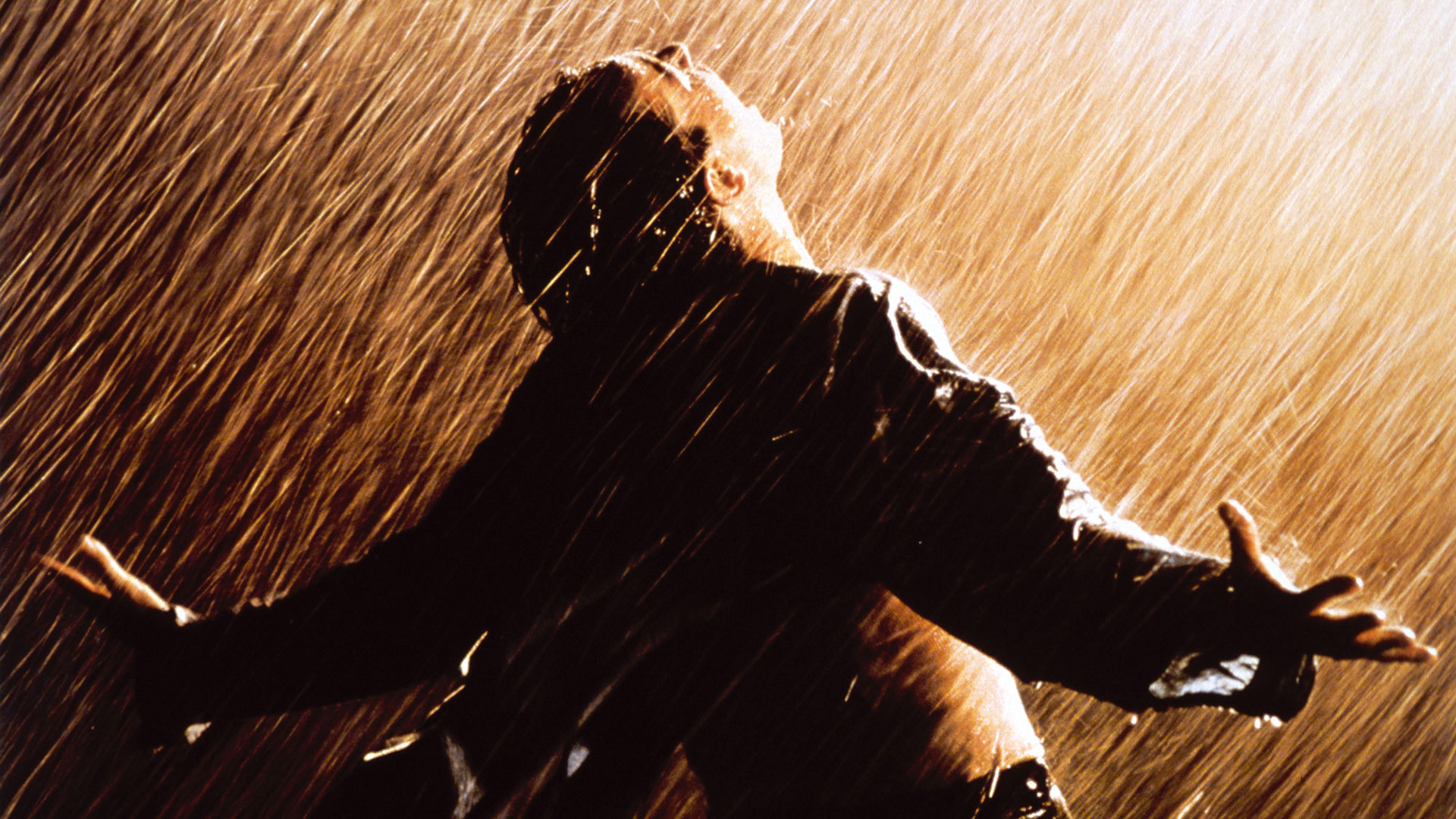 HD The Shawshank Redemption Wallpaper And Photos Movies