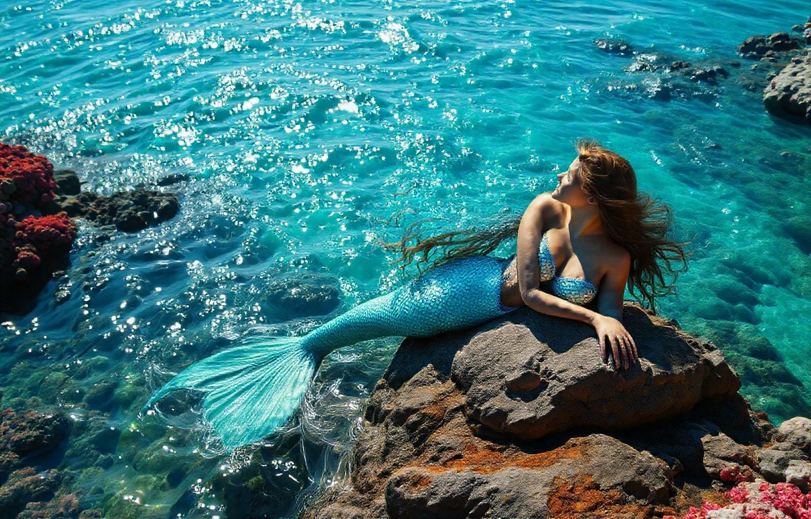 Real Mermaid Wallpaper
