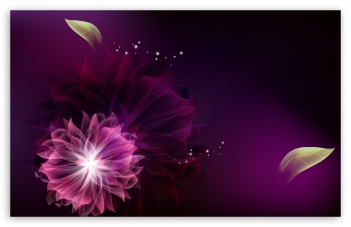 Abstract Flowers HD Wallpaper For Standard Fullscreen Qsxga Sxga