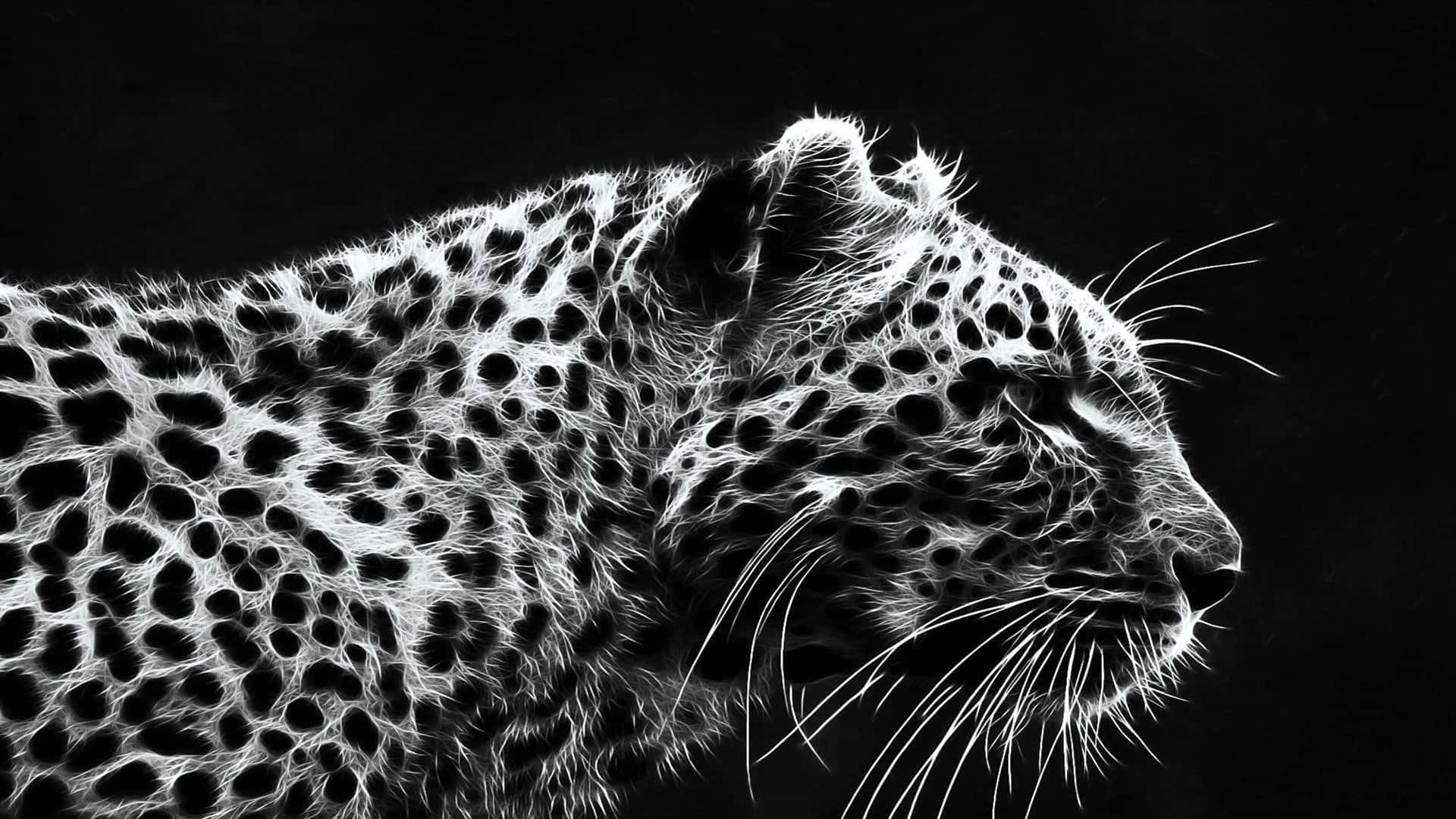 Dark Animals Wallpaper
