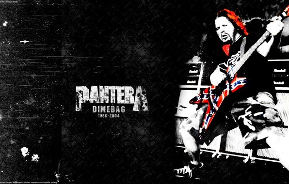 Wallpaper Pantera Dimebag Darrell Metal Band Music