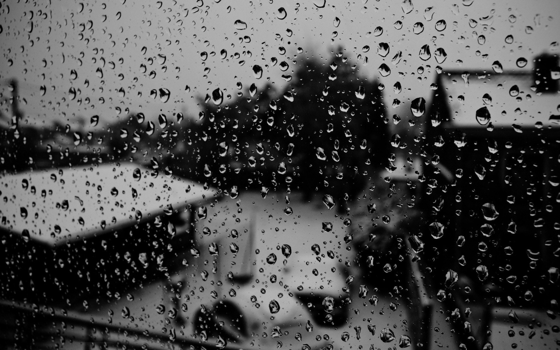 Raindrops on the window wallpaper   482576
