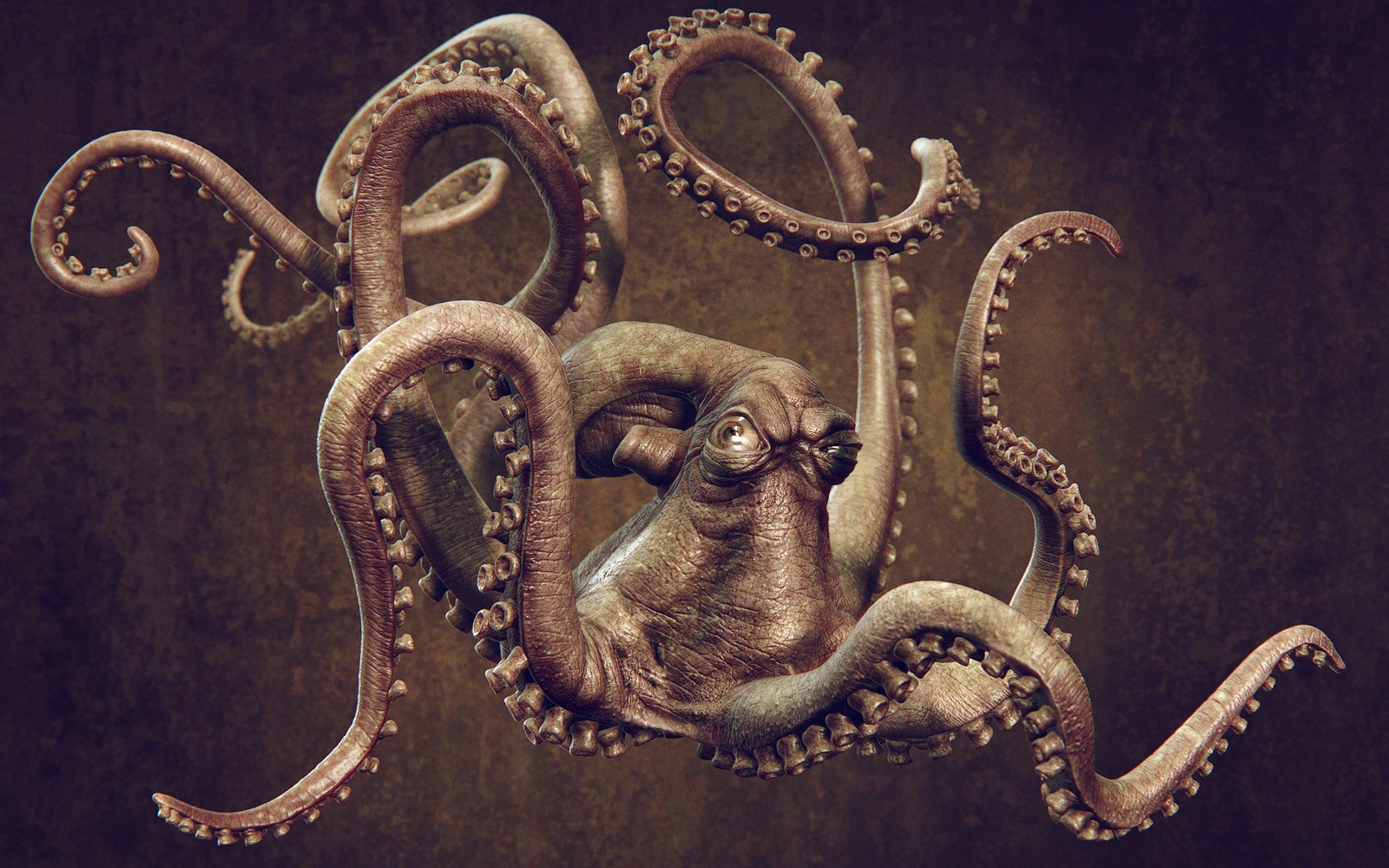 Animal Octopus Wallpaper