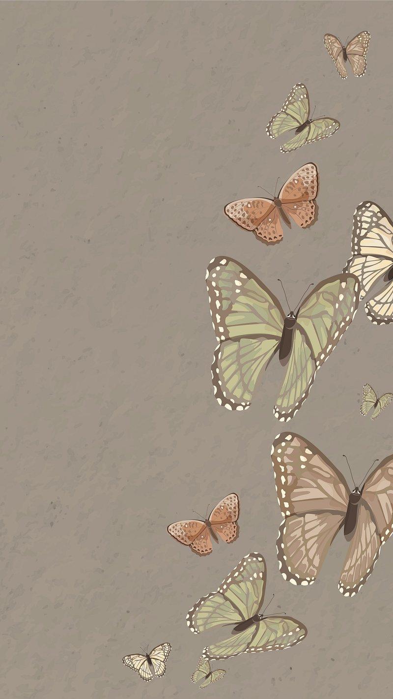 Beautiful Butterfly Nature Phone Wallpaper Premium Photo Rawpixel