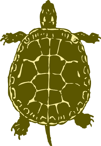 Turtle Drawings Clip Art Pc Android iPhone And iPad Wallpaper