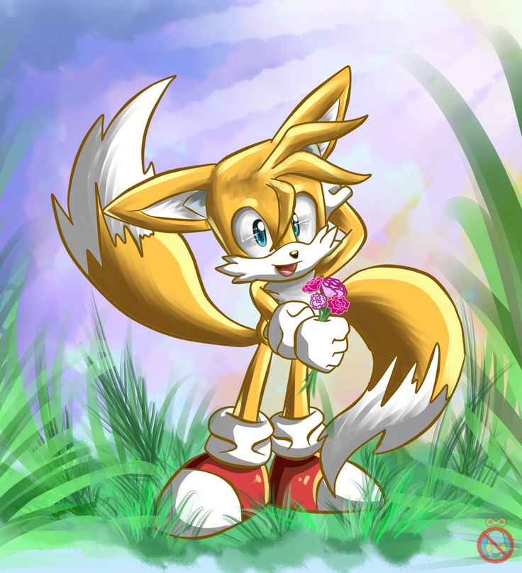 Ce Tails The Fox By Shadowhatesomochao In