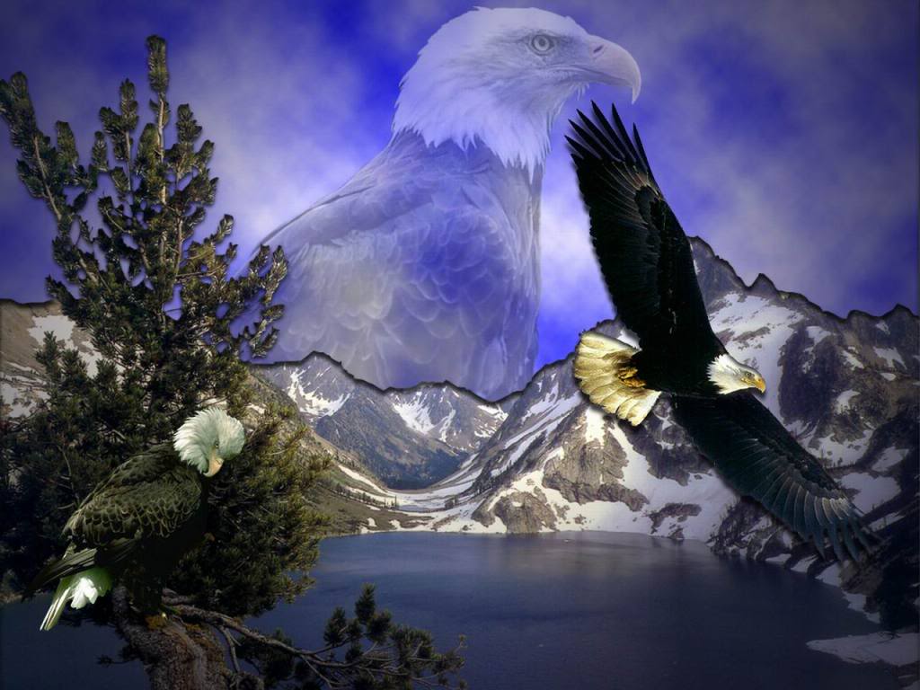 Mnt Eagles Wallpaper Desktop Background