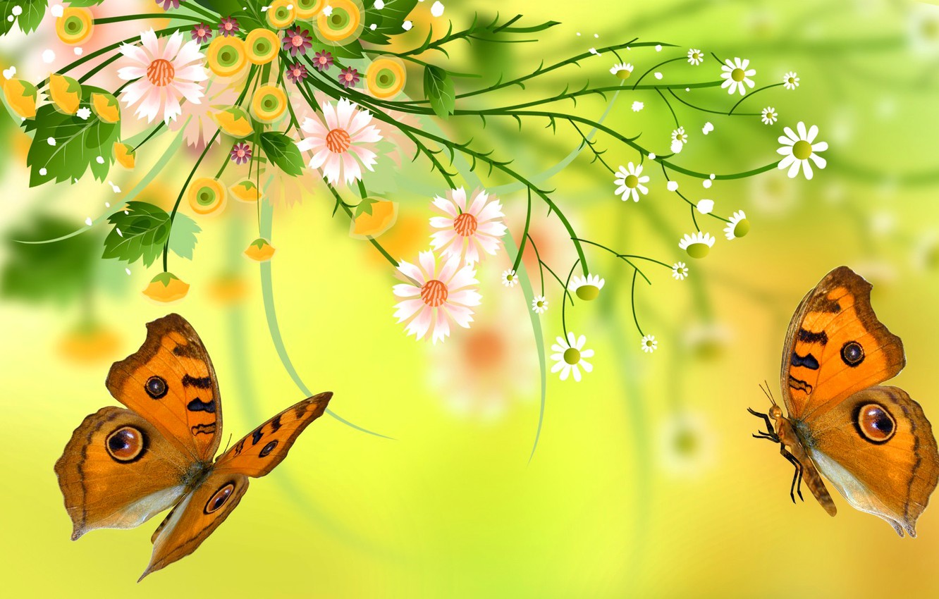 Wallpaper leaves flowers nature butterfly petals moth images 1332x850