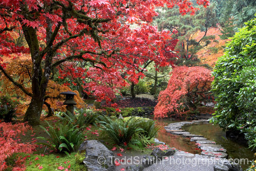 Japanese Garden Screensaver Pc Android iPhone And iPad Wallpaper