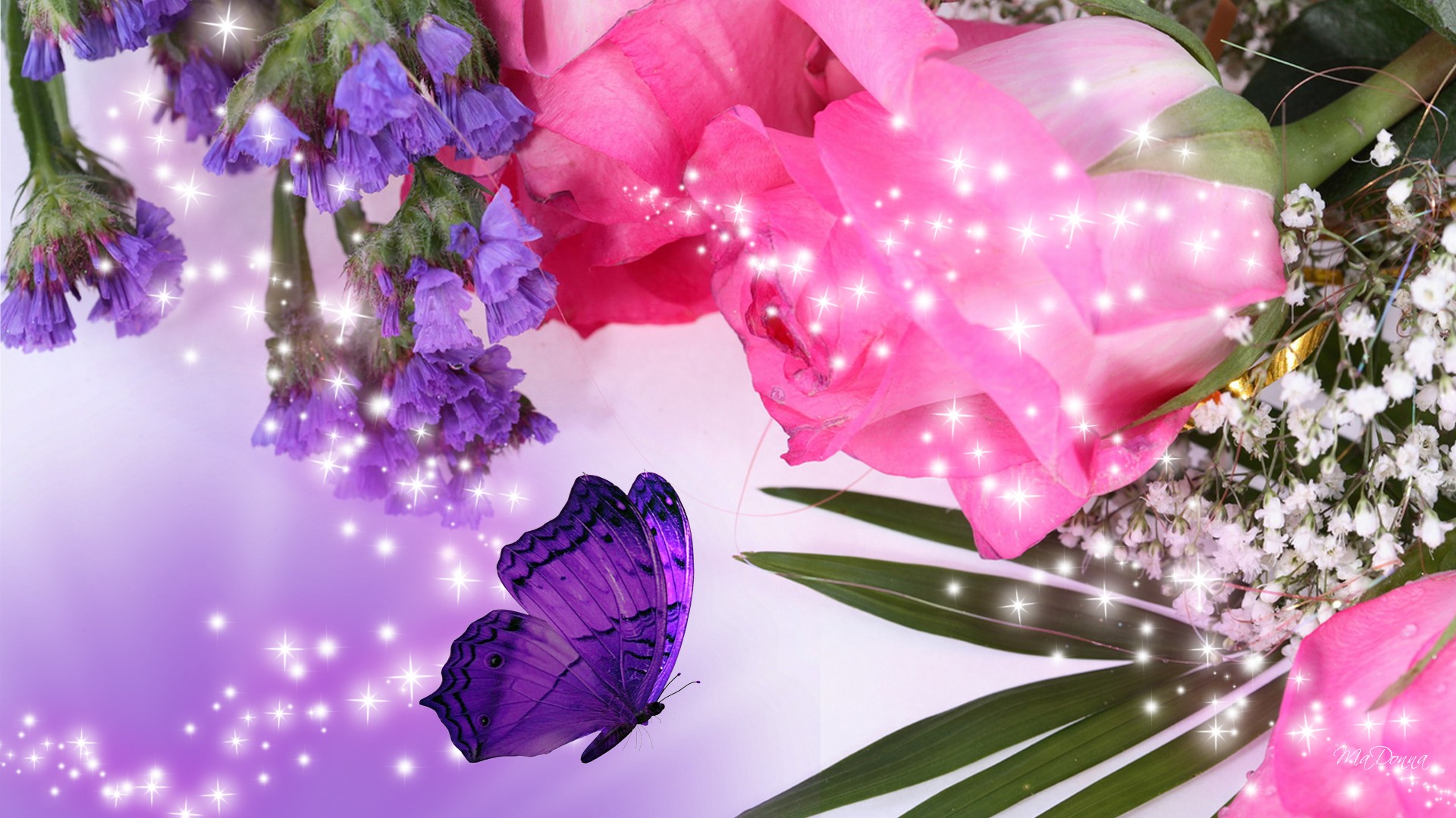 Pink Roses With Purple Butterfly Img Alignnone Size Full Wp Image
