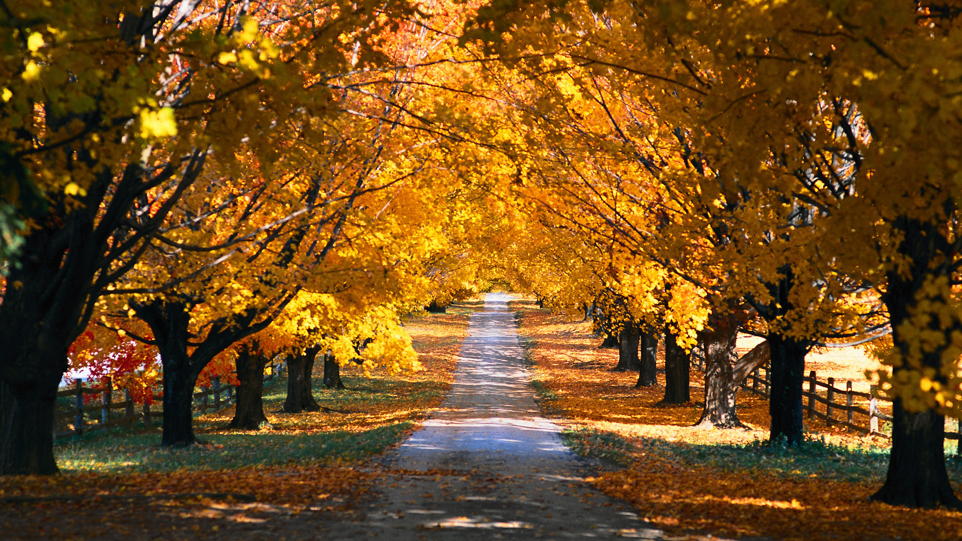 Country Roads Wallpaper