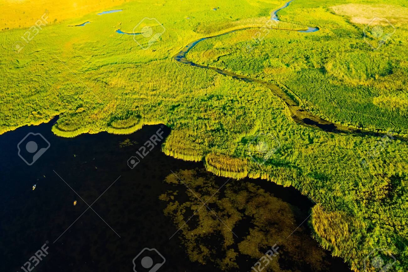 🔥 [32+] Wetlands Background | WallpaperSafari