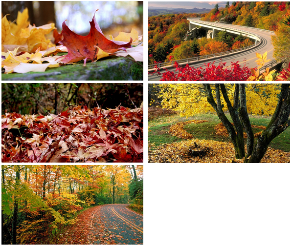 Autumn Wallpaper Desktop Themes Htm Filesize 189k