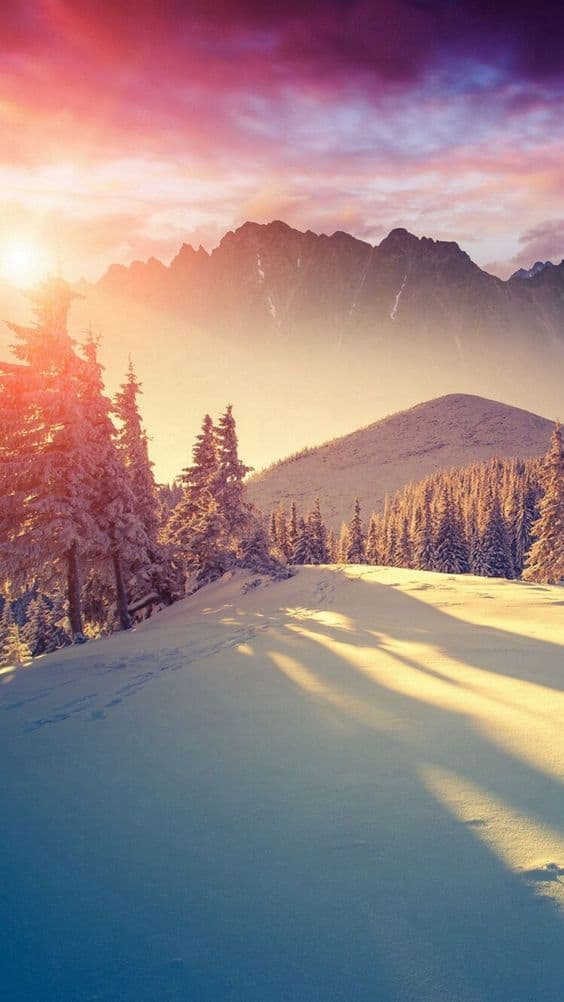 Winter iPhone Wallpaper