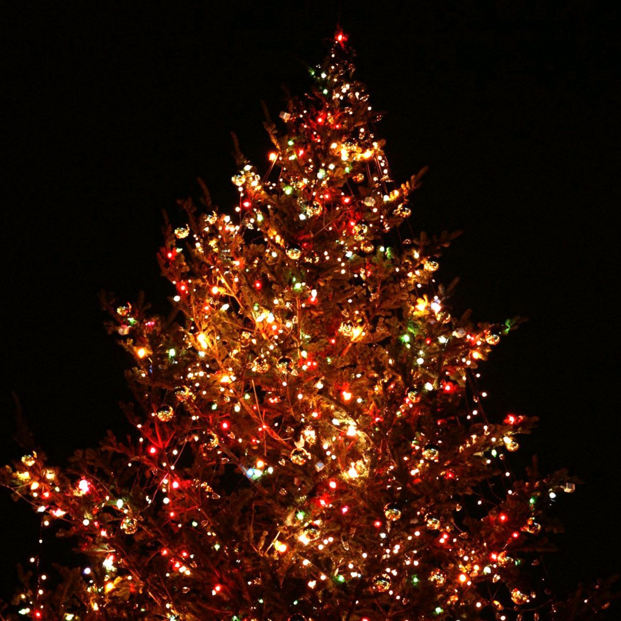 Christmas Wallpaper For iPad Cool HD iPhone