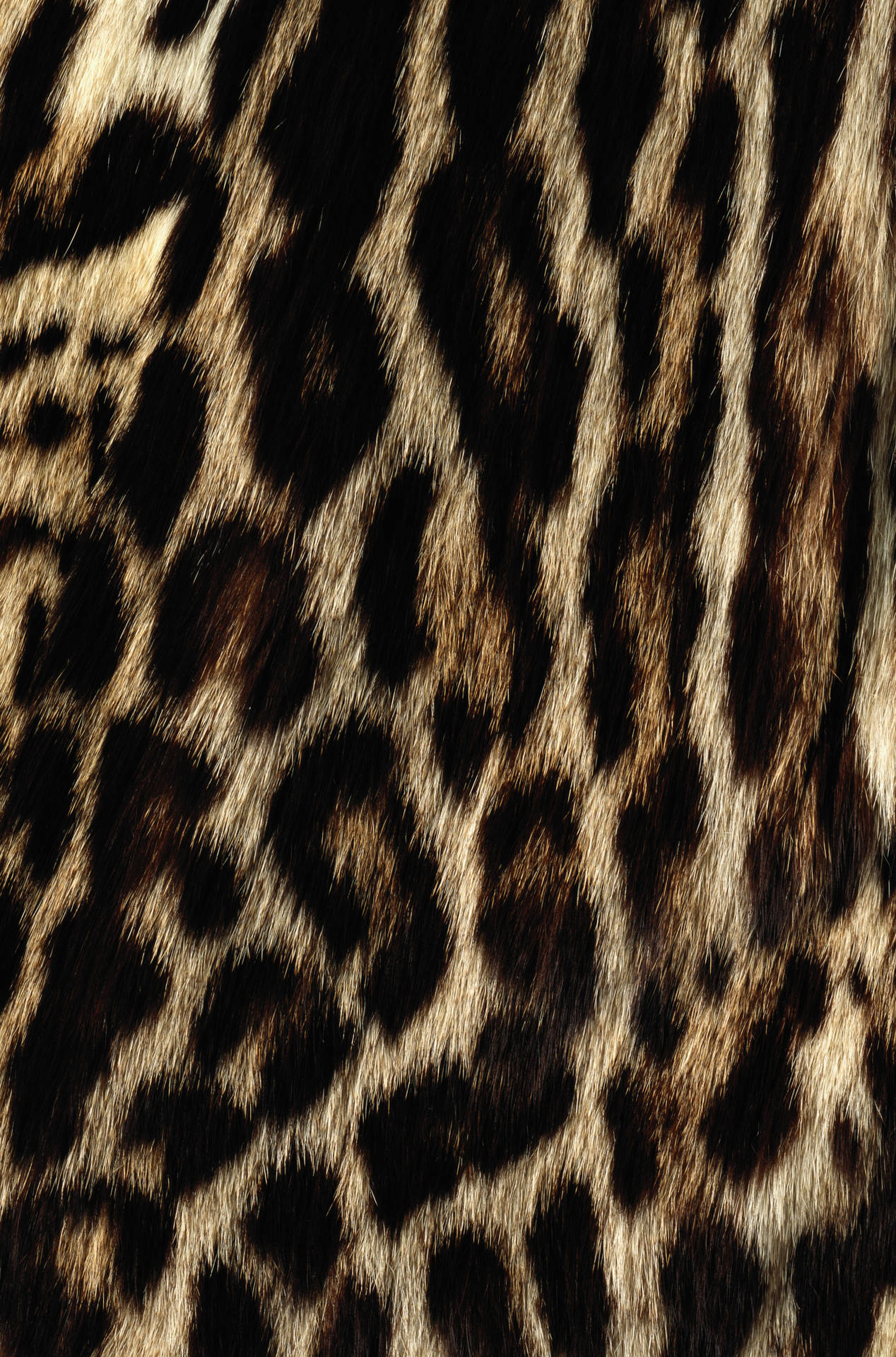 Animal Fur With Prints 23w4y9ygu2c1x8xa Wallpaper