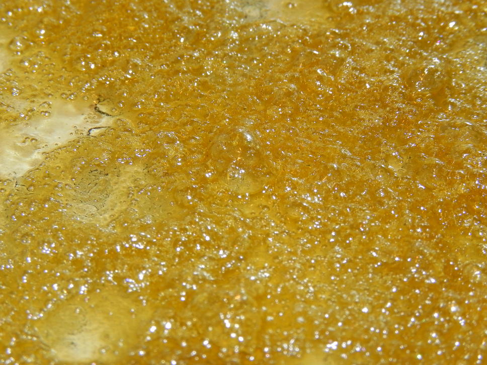 Bho Lovers Cannabis Concentrates International