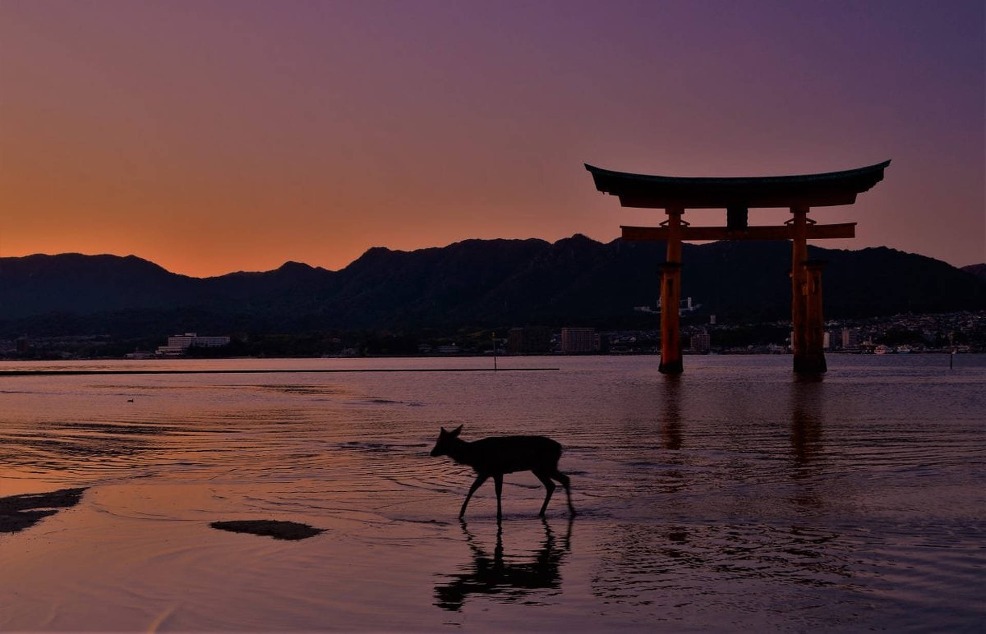 Torii Gate Wallpaper