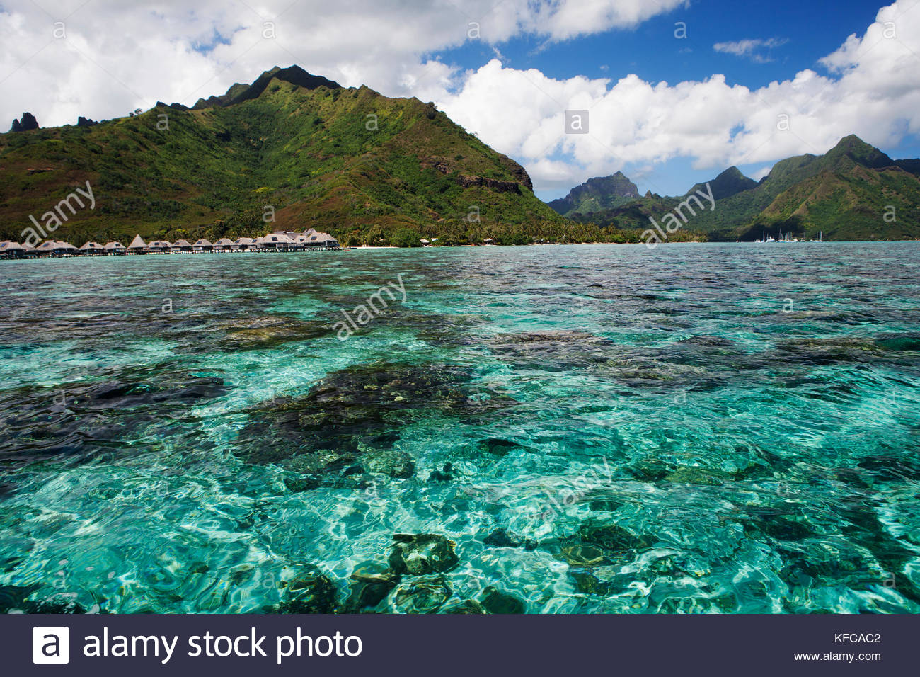 Moorea Background Free download Abstract Tahiti And Moorea Islands Map Isolated On A ...