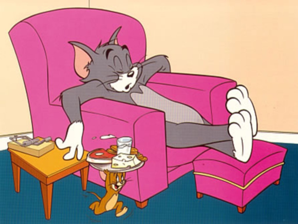 Cartoon Tom And Jerry Lazy Day Wallpaper Photo