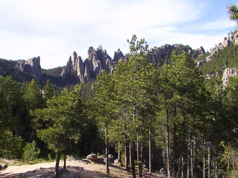 Custer State Park In The Black Hills Of South Dakota Photos