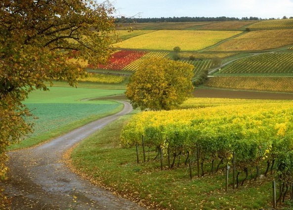 french countryside photos
