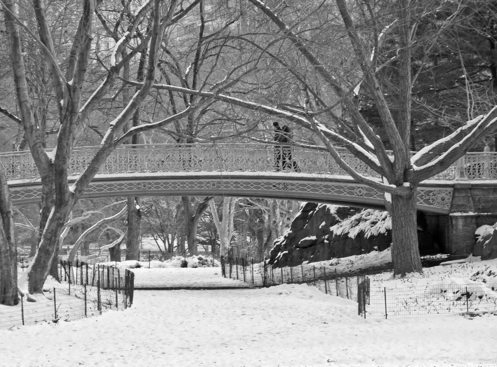 Newyourk Central Park Winter HD Background Fine Wallpaper