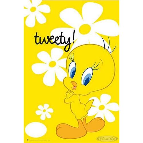 Looney Tunes Tweety Pictures To Like Or Share On
