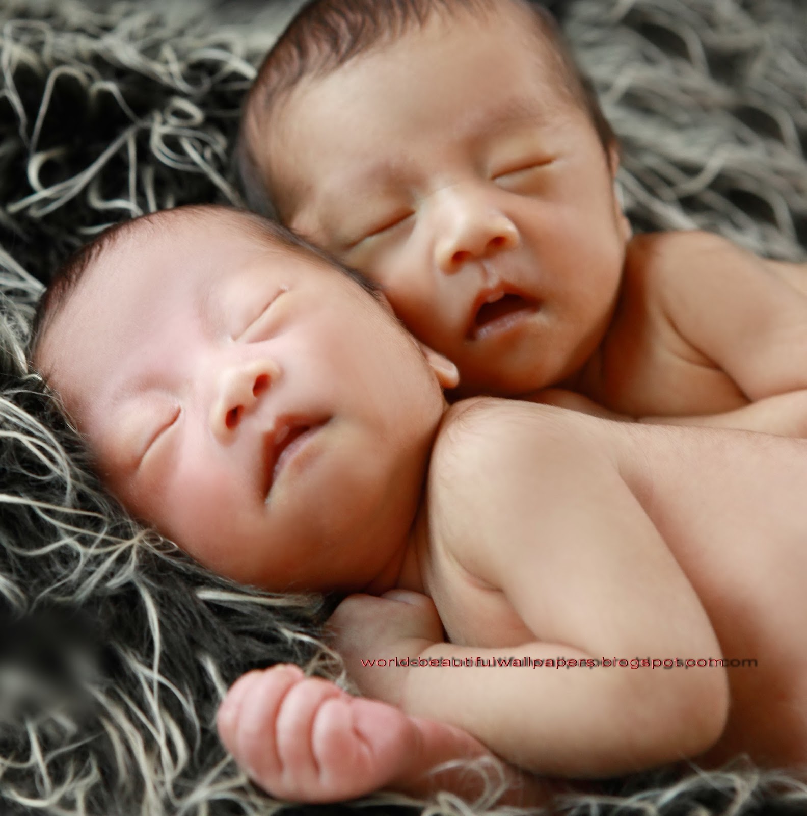 Newborn Baby Wallpaper HD