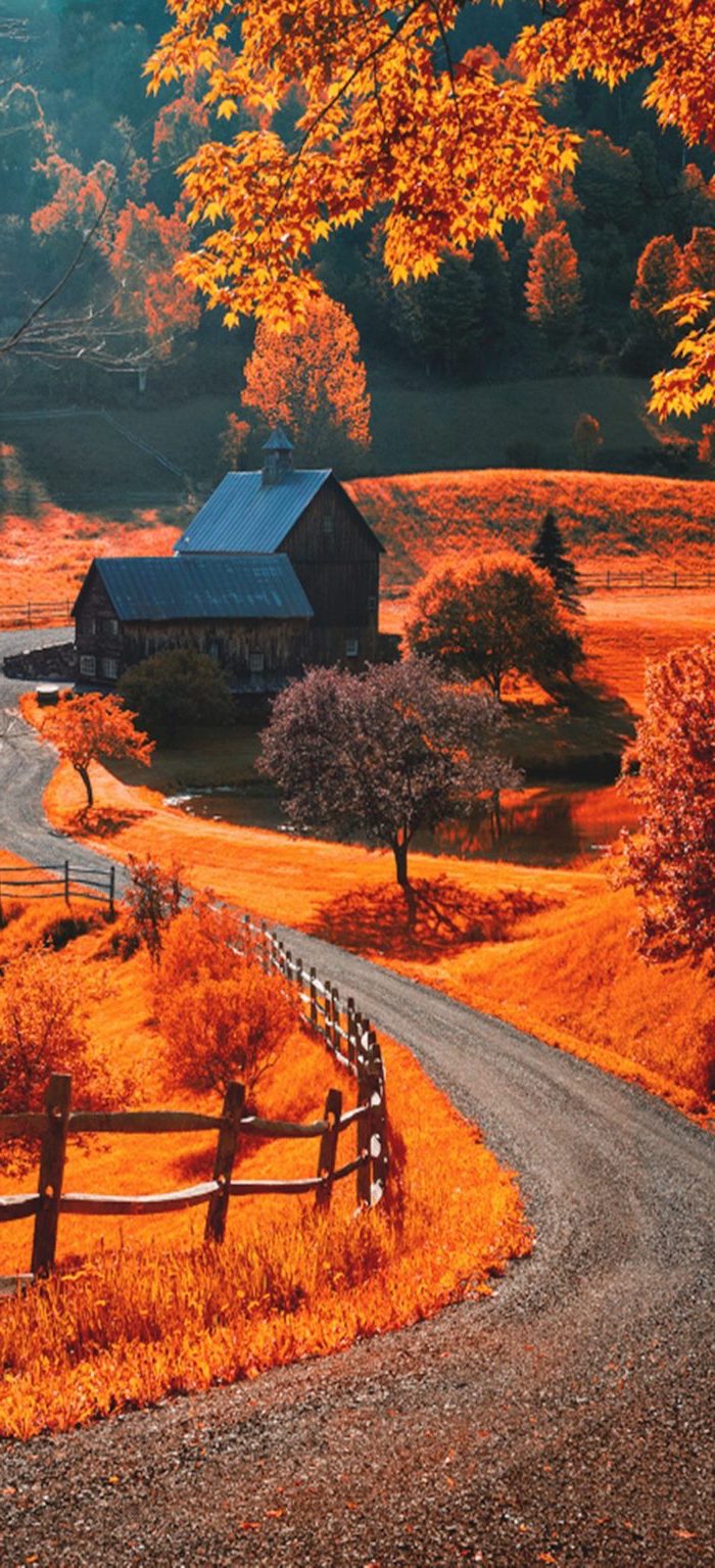 Ideas To Decorate Your Screen With A Fall iPhone Wallpaper