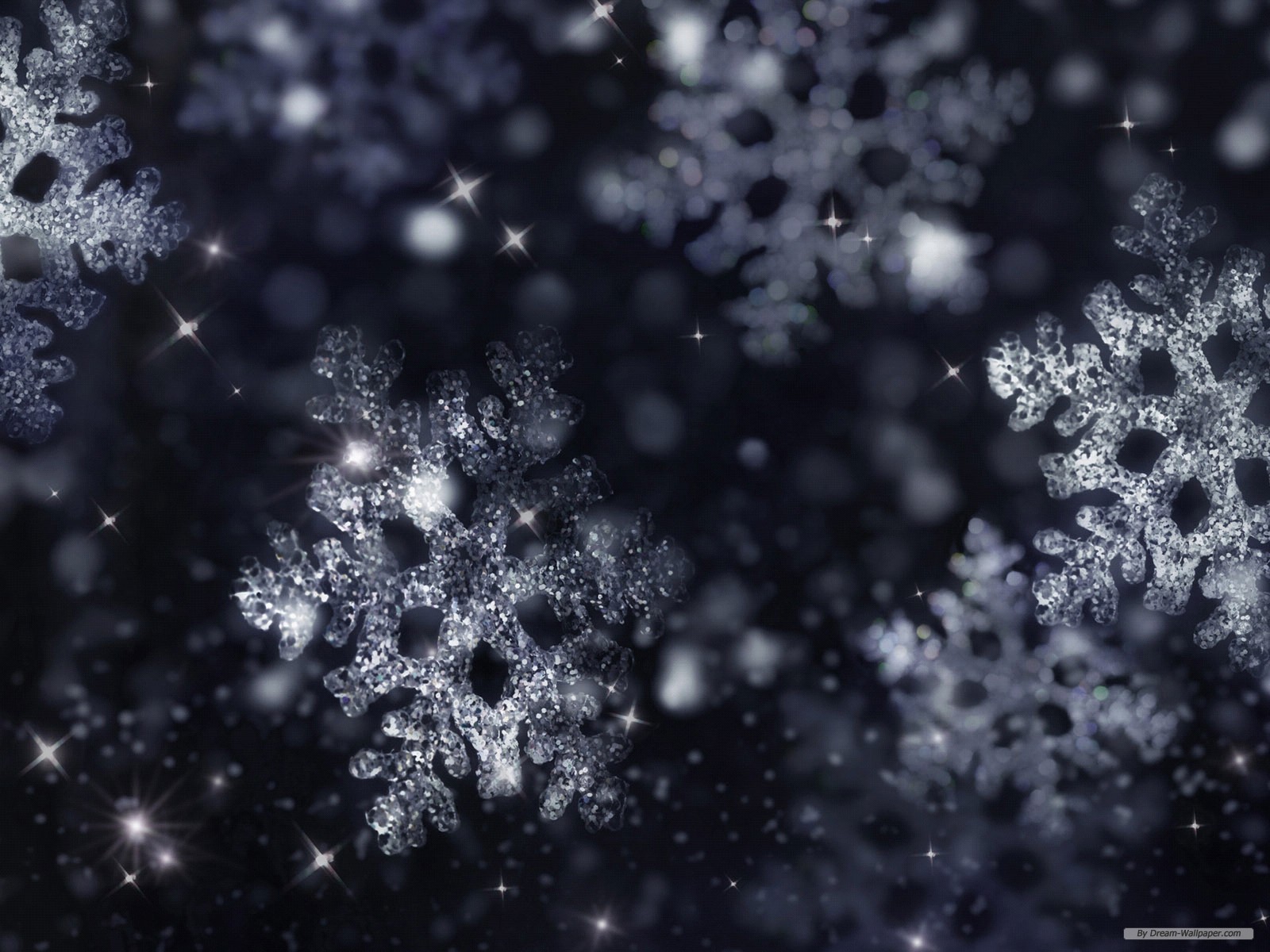 Winter Snowflake Background Vector