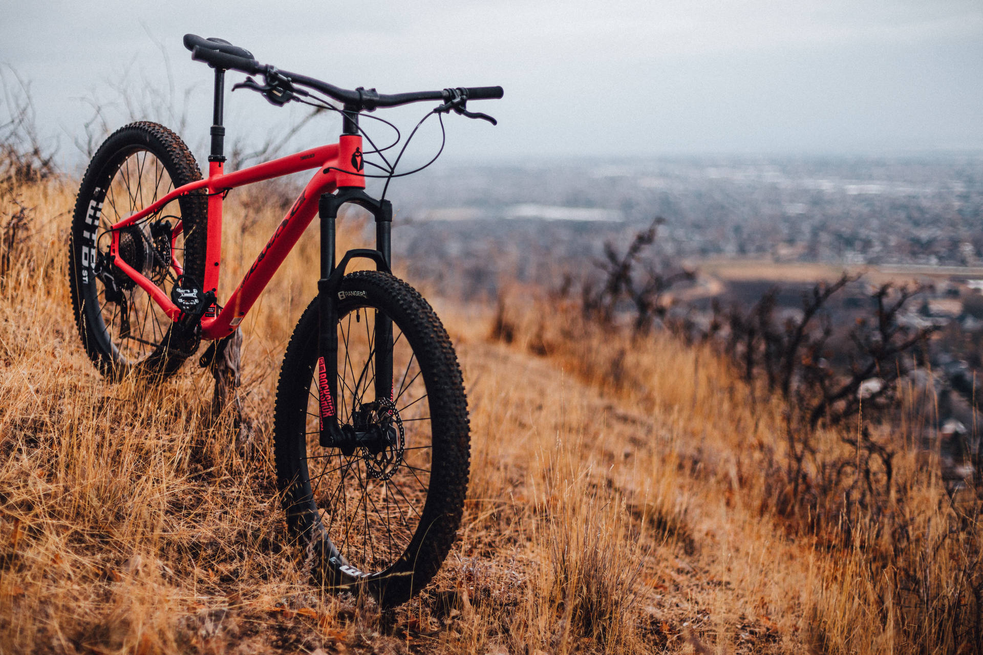 Bike Lovers Wallpaper