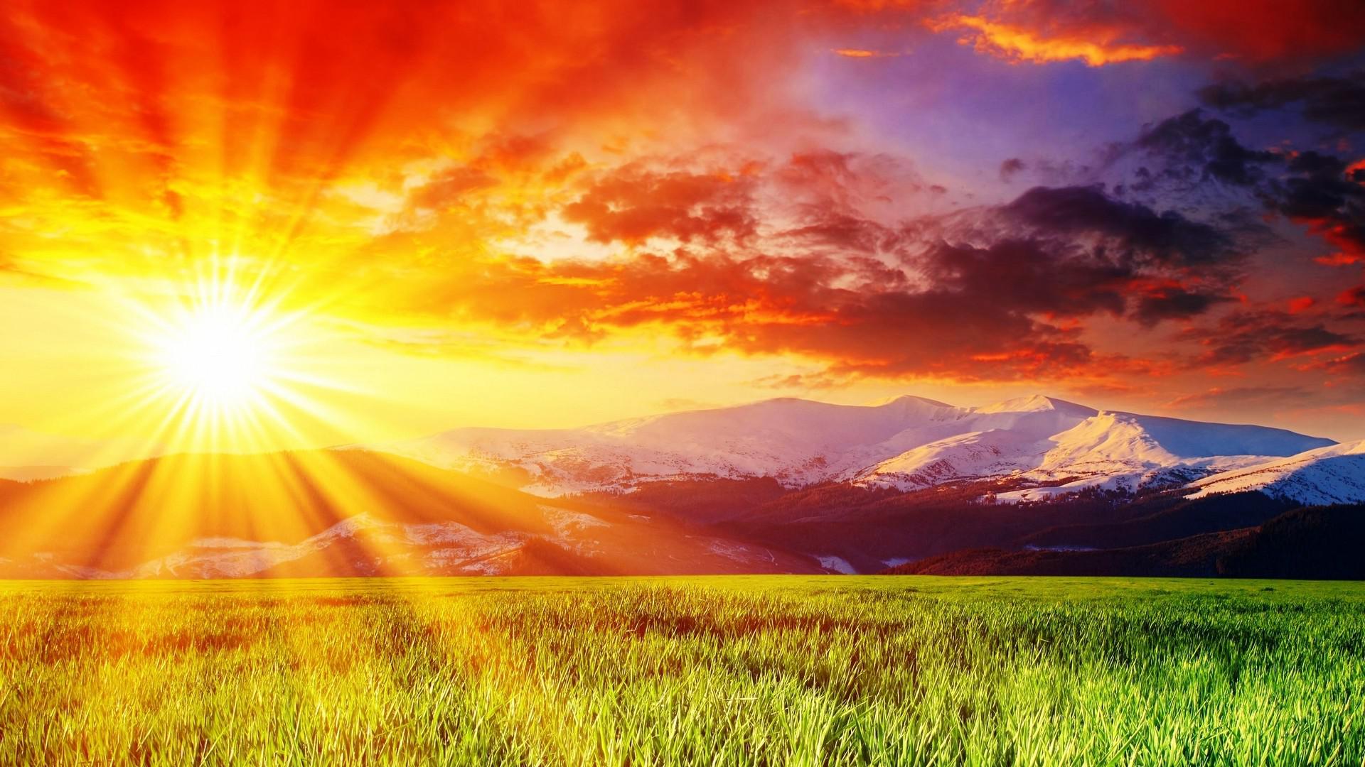 Sun Rays Hd Wallpaper