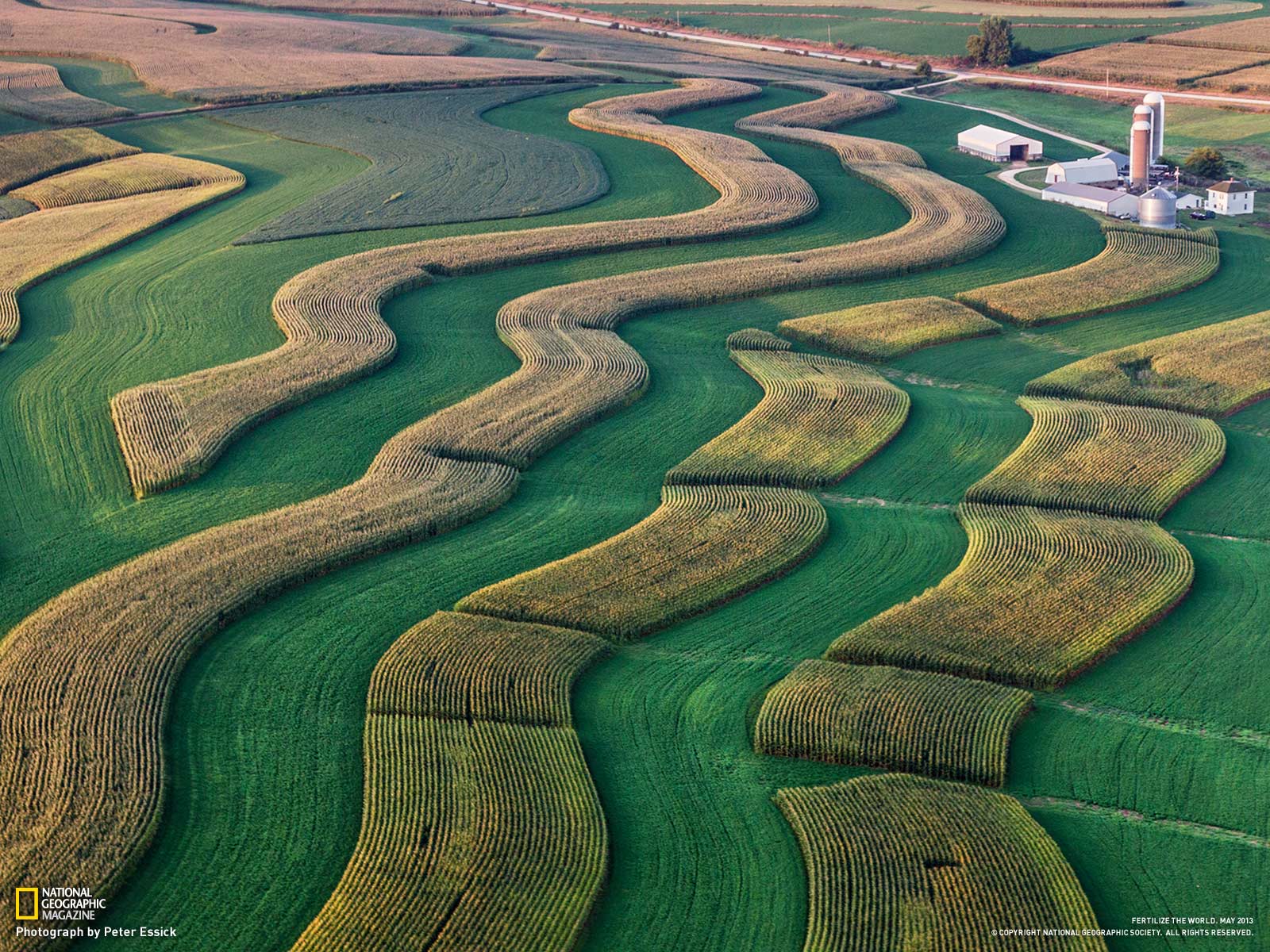From The Curse of Fertilizer National Geographic May 2013