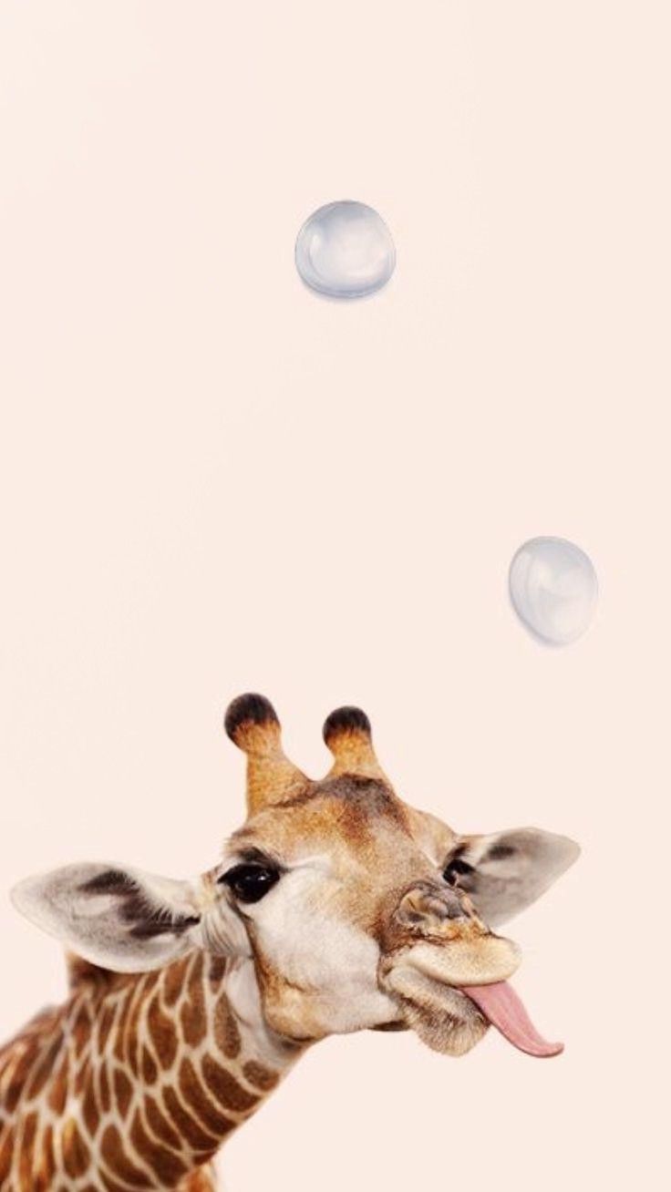 Giraffe Art Wallpaper iPhone Animal