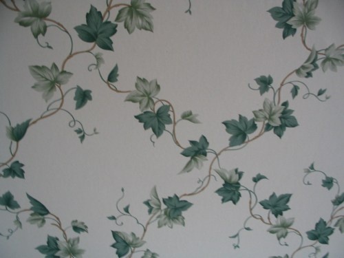 Ivy Wallpaper Ness