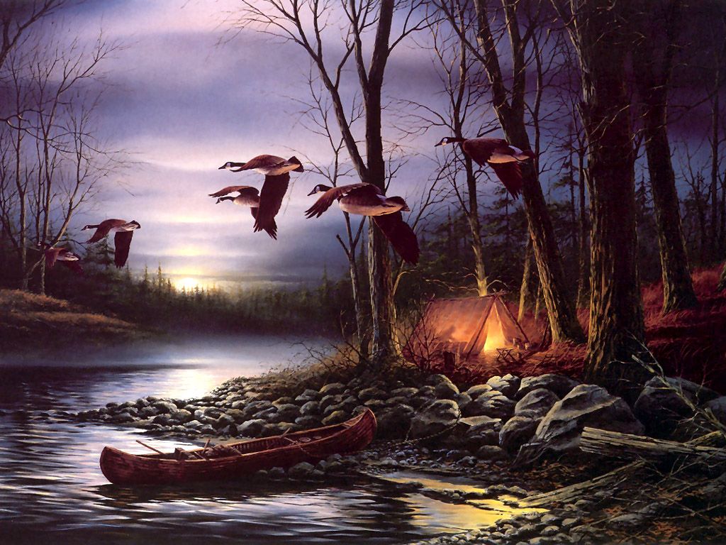 Related Wallpaper Animals Bird Water And Shore Duck Painting
