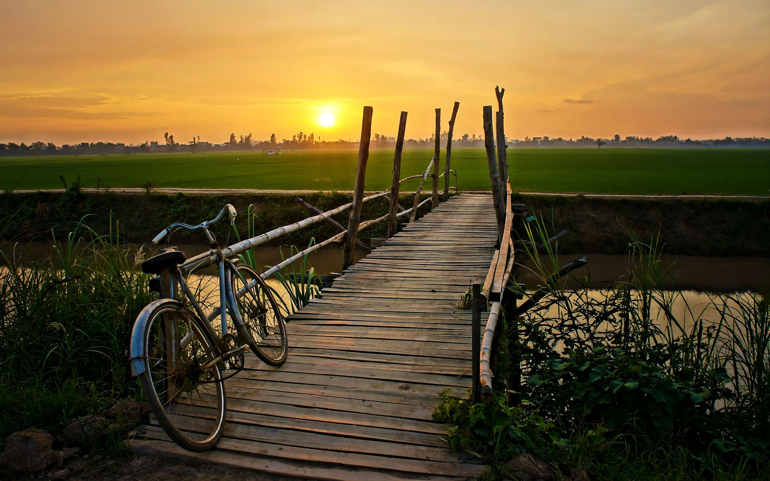 Wood Bridge Bicycle Sunset HD Wallpaper