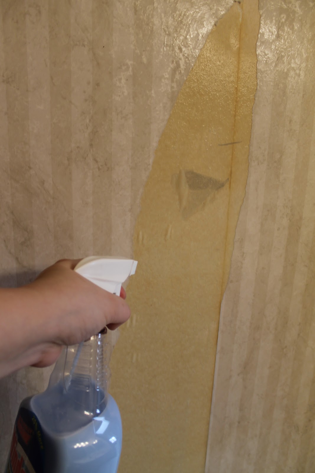 Free Download How To Remove Old Wallpaper Easily Bathroom Makeover 