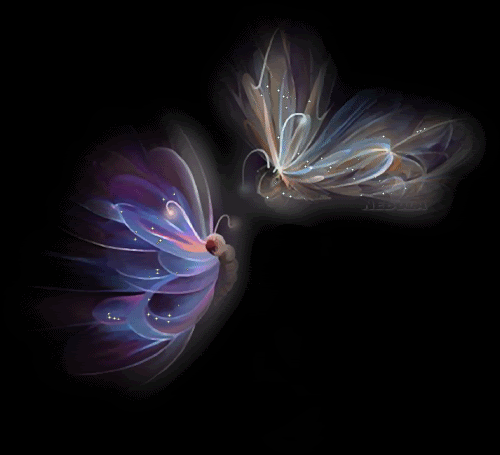 Funmozar Animated Butterflies Wallpaper For Mobile Phones