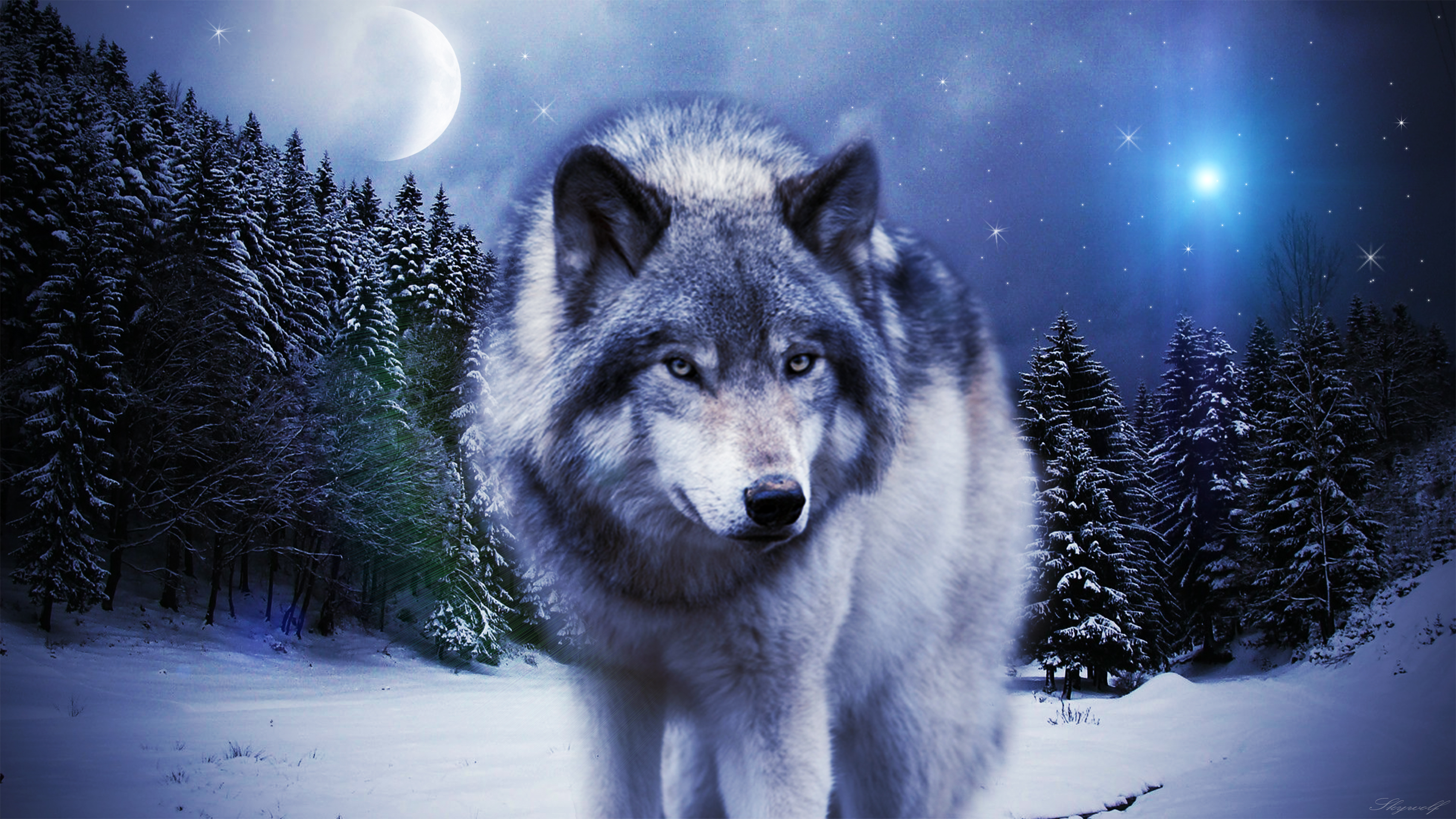 [45+] HD Wolf Wallpapers 1080p