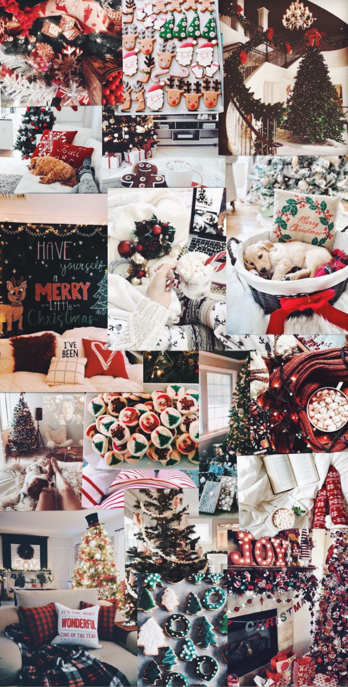 Christmas Lights Cute Wallpaper