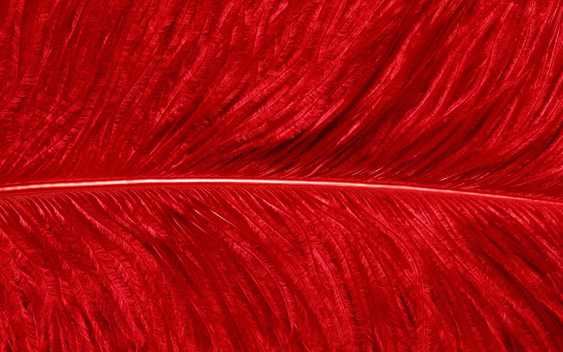 On H F R Red Feather