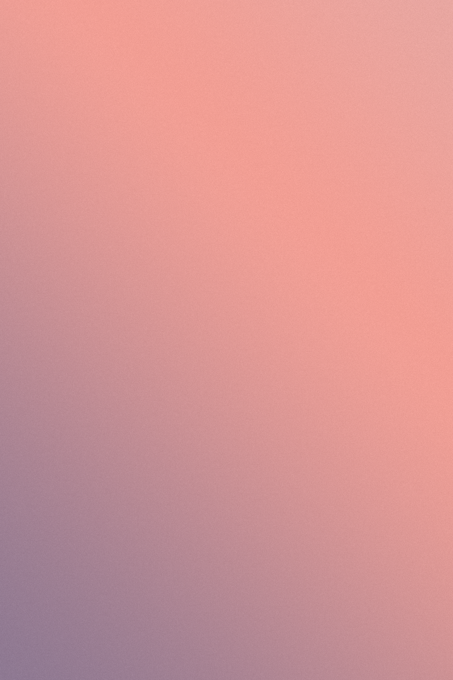 Peach colored HD wallpapers  Pxfuel