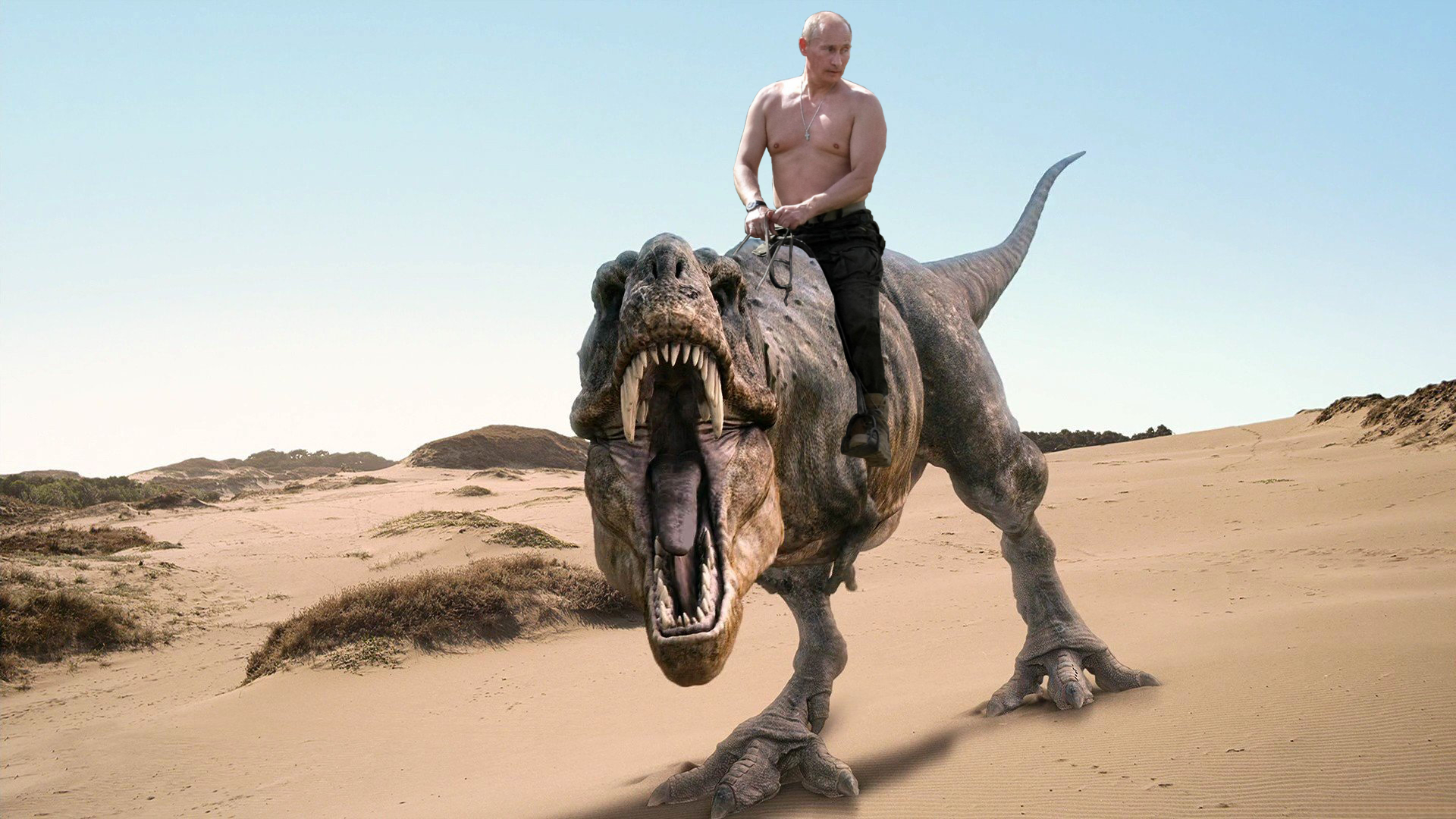 Vladimir Poutine Sur Son Dinosaure Le Forum Blabla Ans